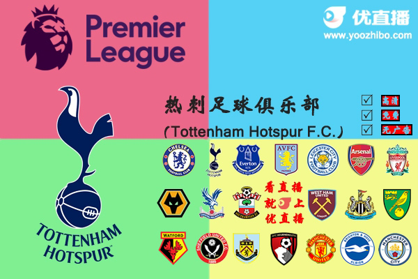 2019-20赛季<a href=/halkan/zuqiuzhibo/hotspur/ target=_blank class=infotextkey>热刺</a>阵容名单一览