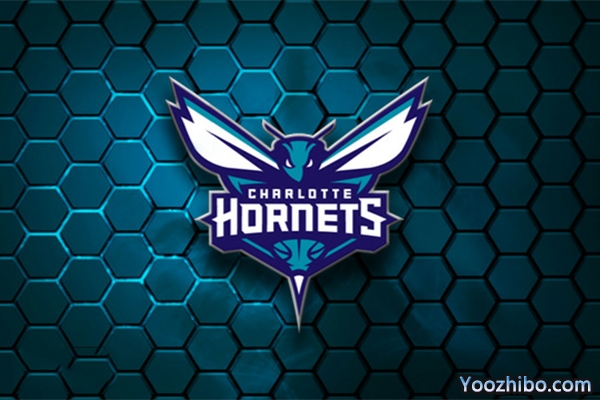 2019-2020赛季<a href=/halkan/lanqiuzhibo/hornets/ target=_blank class=infotextkey>黄蜂</a>队队徽